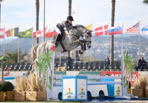 Casino Calvin von Casino Berlin aus der Clonee Temple Z von Calvin x Feinschnitt | Züchter: Marleen Dietrichs, Hannover 