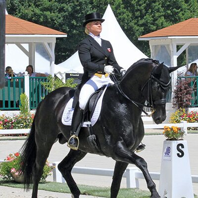 Detroit von Dimaggio aus der Rhapsodie von Lord Liberty G - Goldloewe | Züchter: Clemens August Graf von Merveldt, Vechta Detroit von Dimaggio aus der Rhapsodie von Lord Liberty G - Goldloewe | Züchter: Clemens August Graf von Merveldt, Vechta