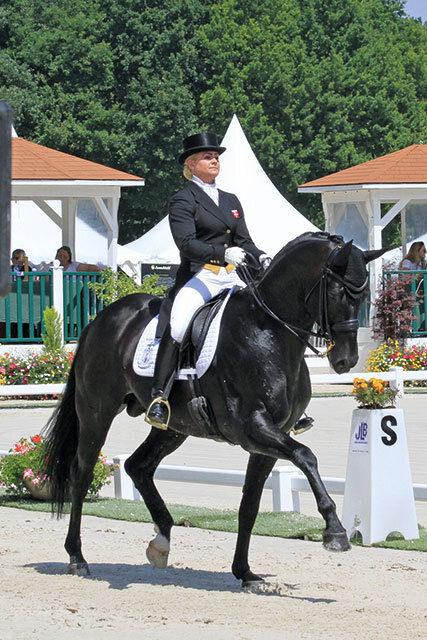 Detroit von Dimaggio aus der Rhapsodie von Lord Liberty G - Goldloewe | Züchter: Clemens August Graf von Merveldt, Vechta Detroit von Dimaggio aus der Rhapsodie von Lord Liberty G - Goldloewe | Züchter: Clemens August Graf von Merveldt, Vechta