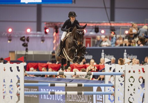 Fandora von Cador aus der Fanny Moon von  Charming Boy – Accusé | Züchter: Mathias Uhlig, Herzberg | © Johanna Milse